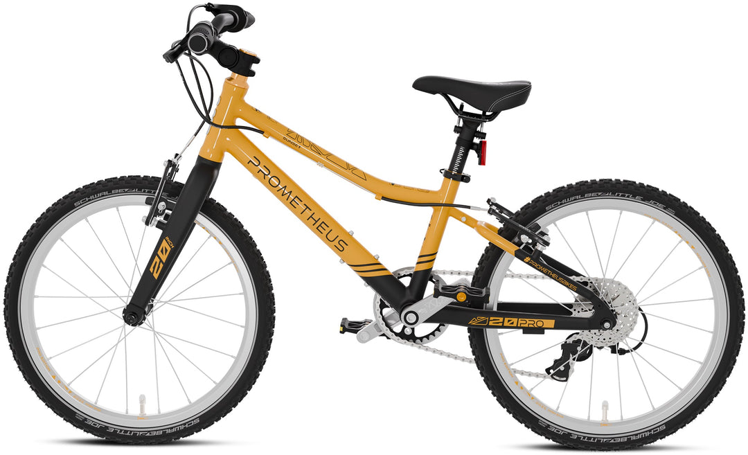 PRO Kinderrad 20 Zoll ab 6 Jahre | 7 - Gang | SUNSET – Kinderfahrrad 20 Zoll von prometheus - bikes | prometheus - bikes